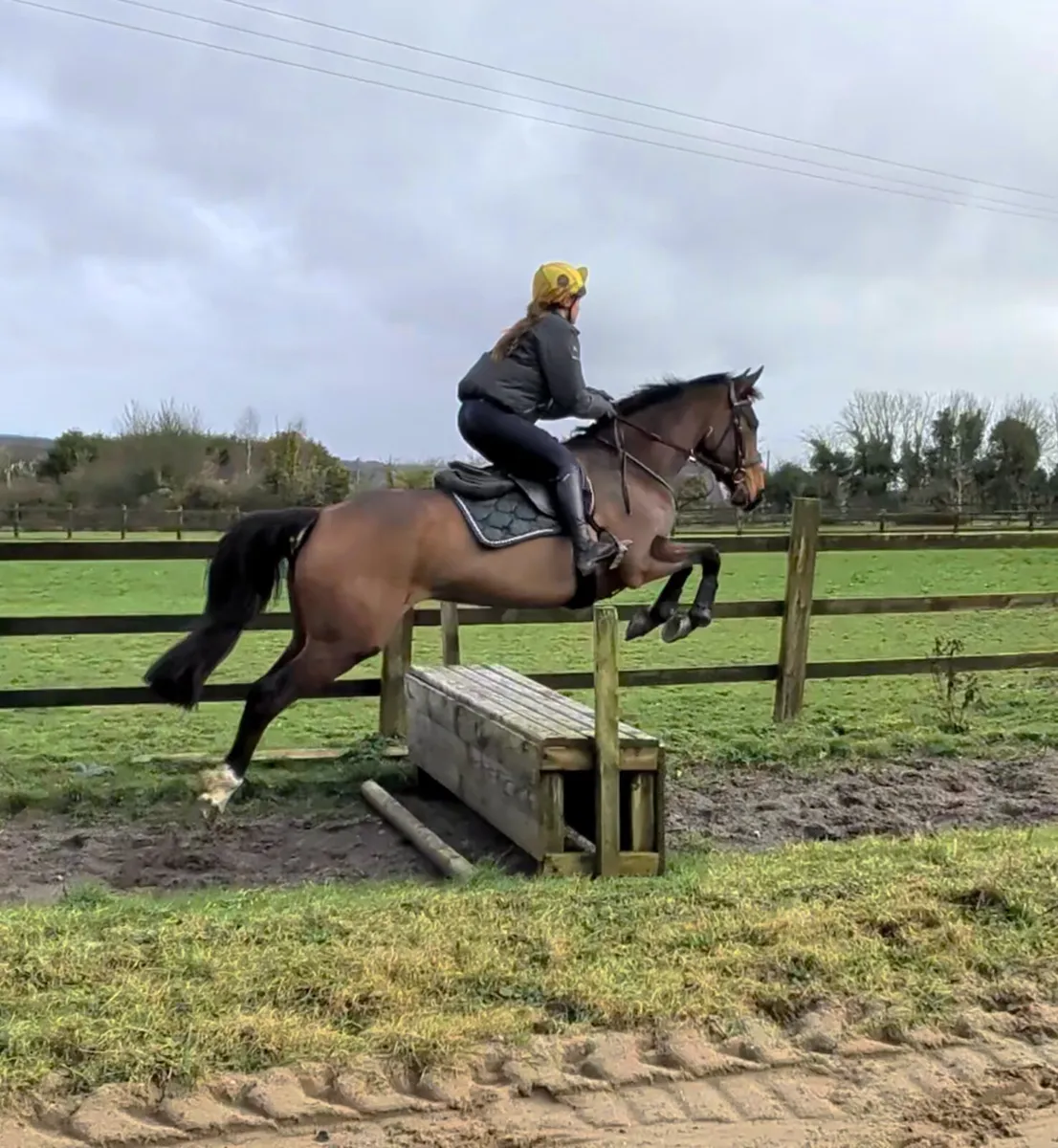 Lovely genuine allrounder - Image 3