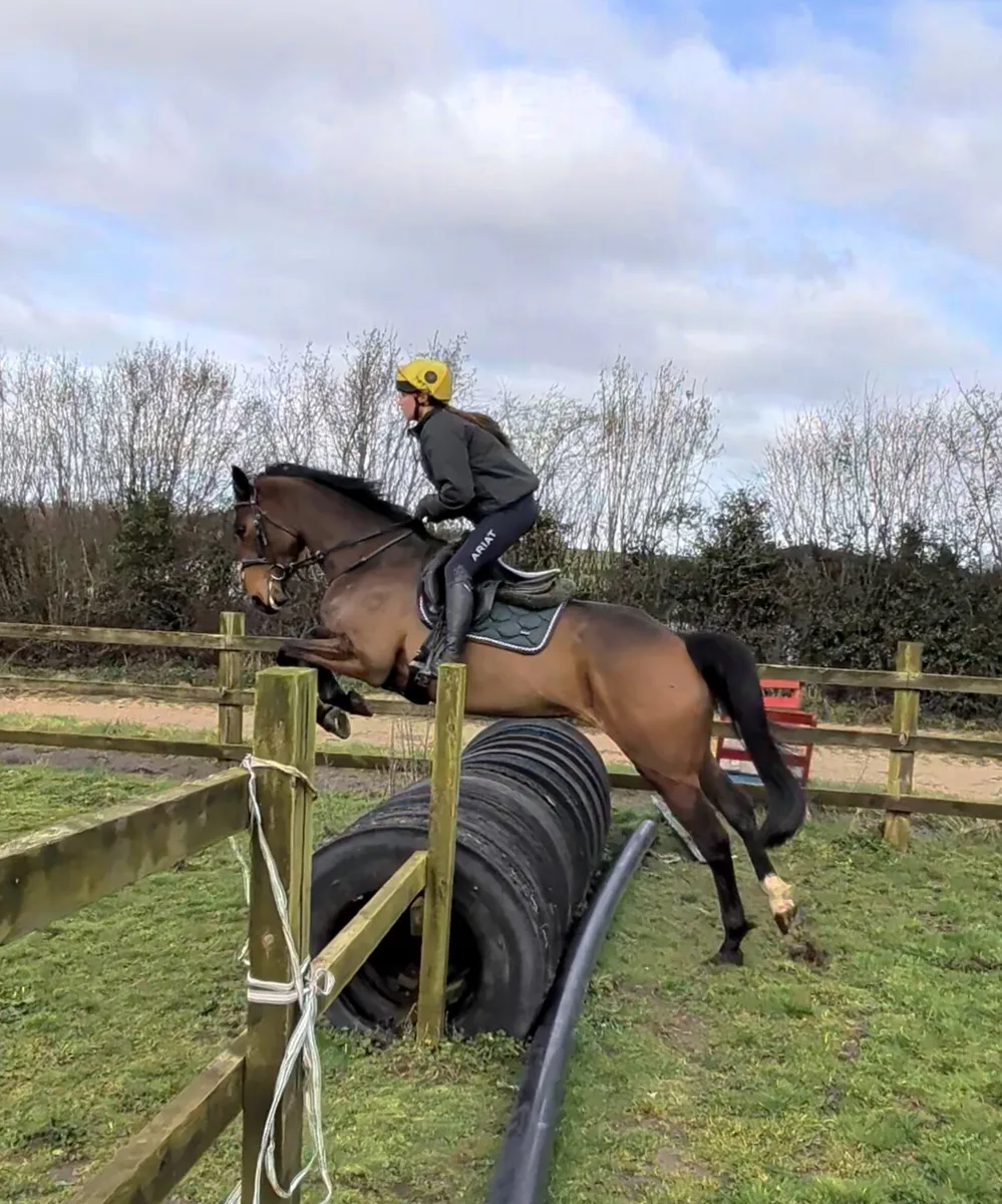 Lovely genuine allrounder - Image 4