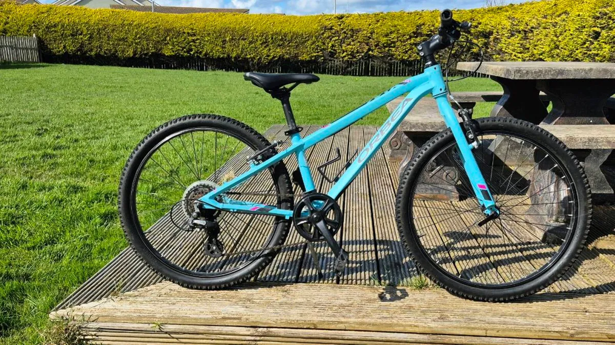 Kids mountain bike - Image 1