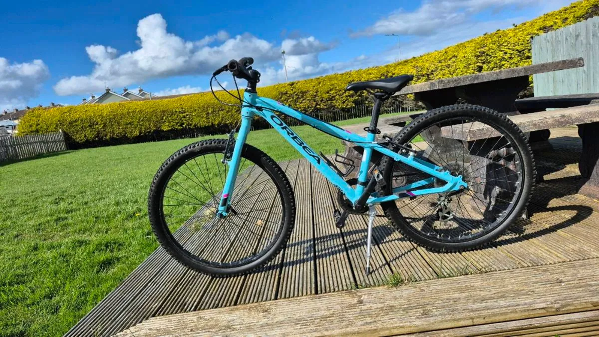 Kids mountain bike - Image 2