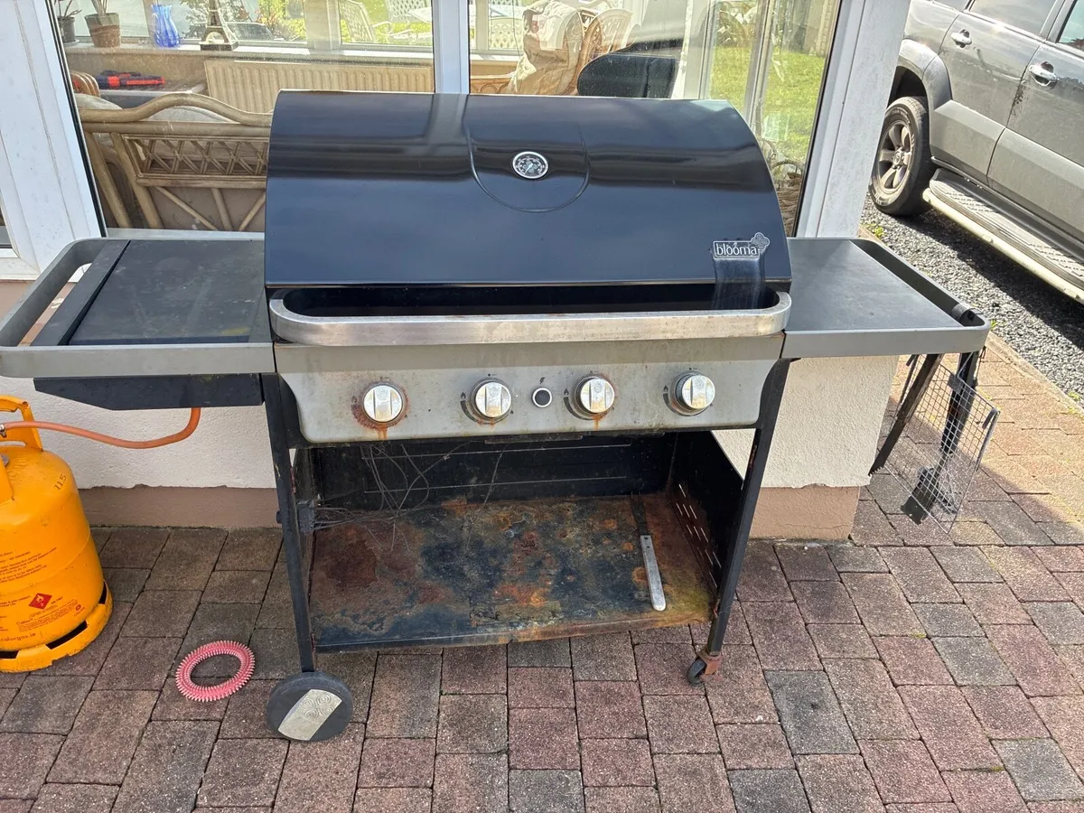 BBQ - Image 1