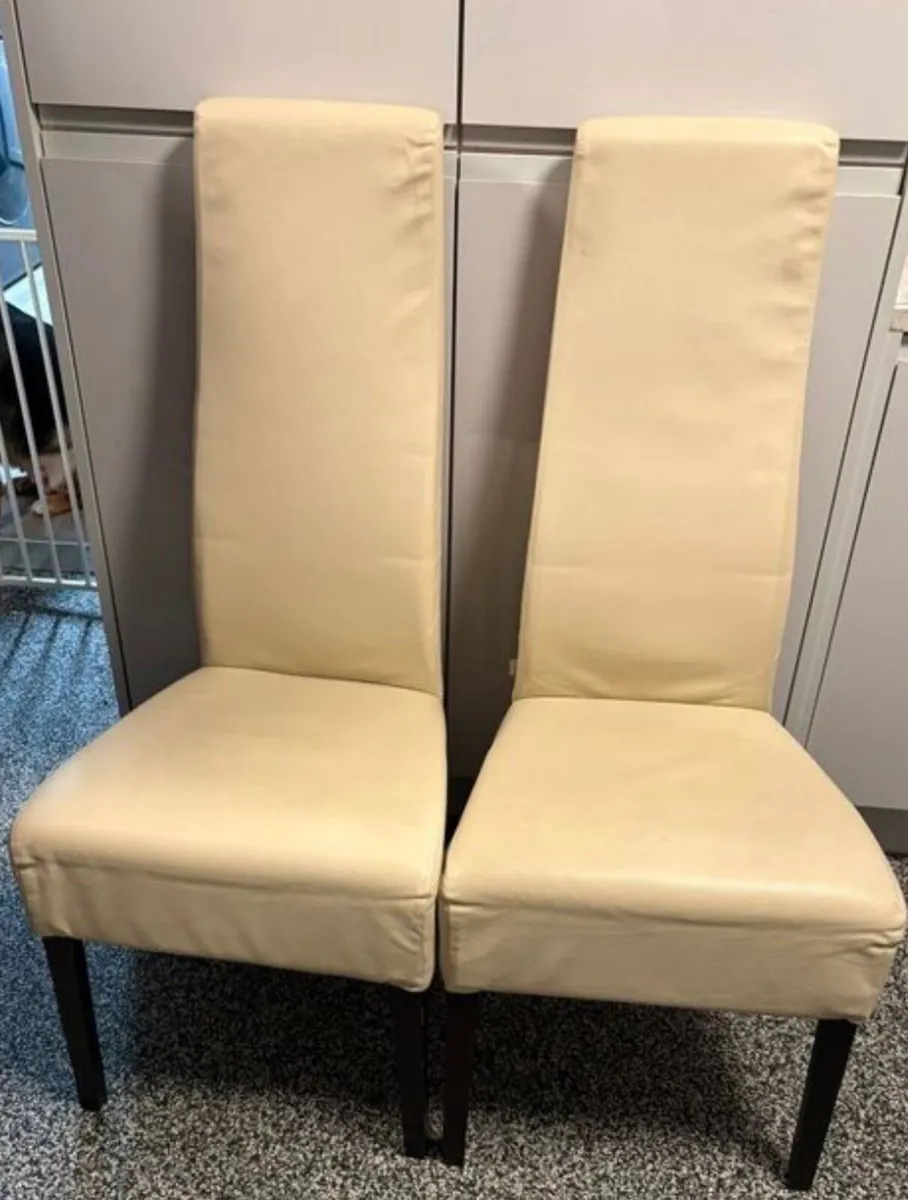 Dining chairs - Image 1