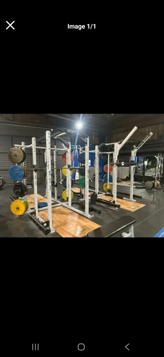 Exigo commerical dual weights rack