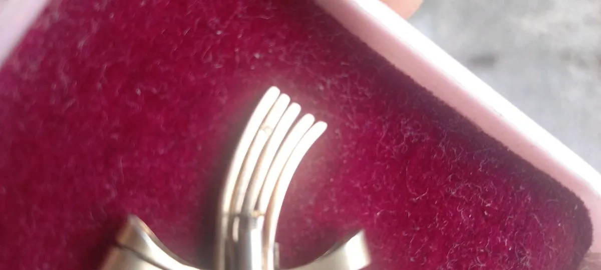 Beautiful Antique Silver Broach with box - Image 4