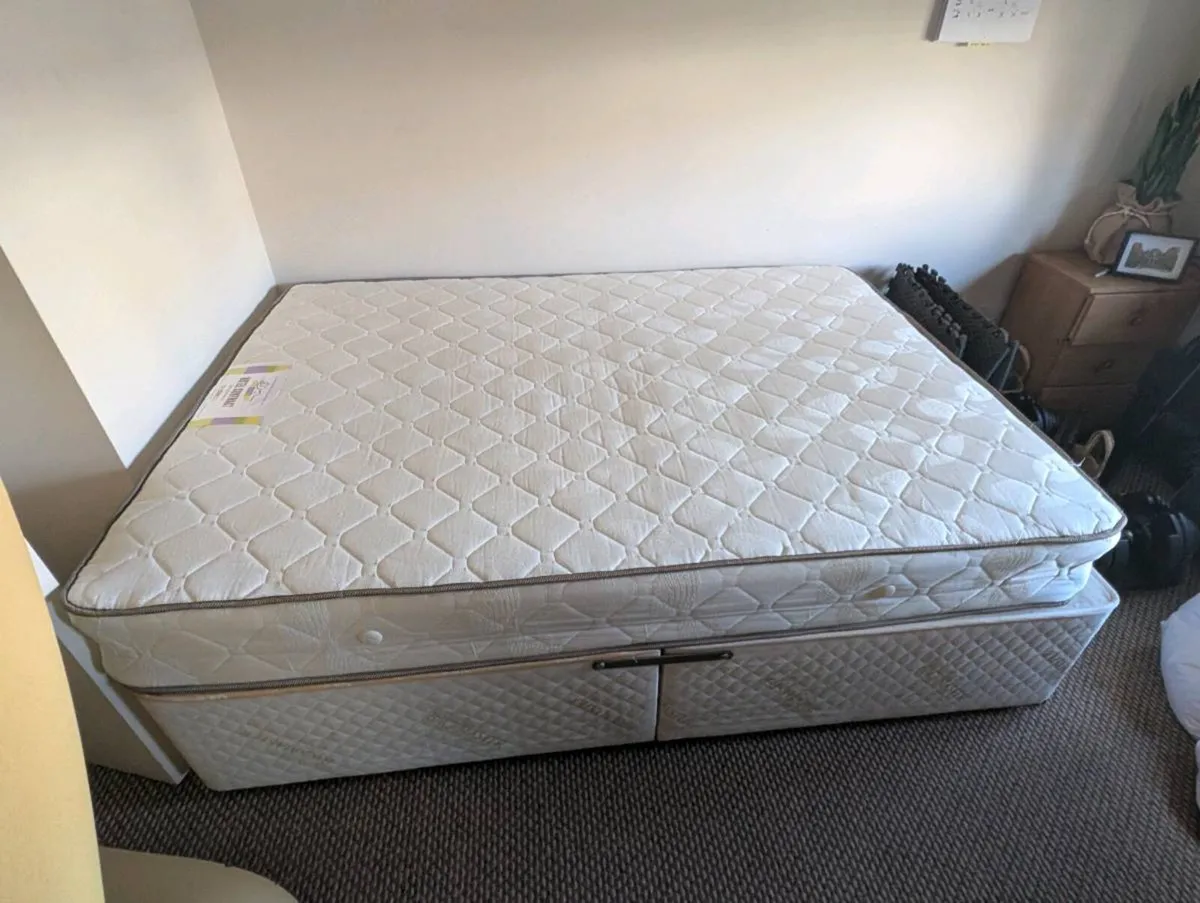 Free bed and mattress, collection only - Image 2