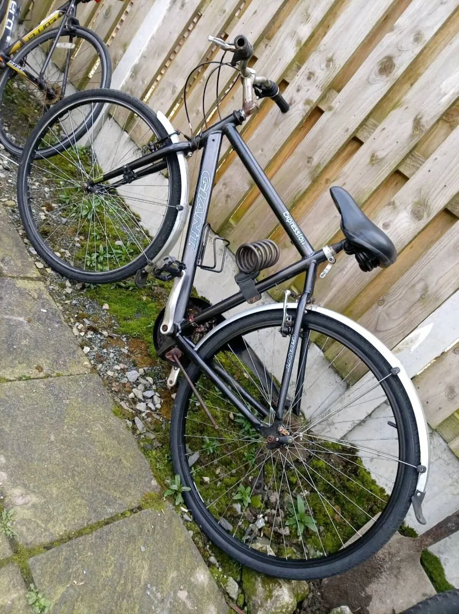 Giant Expression LX city Bike - Image 2