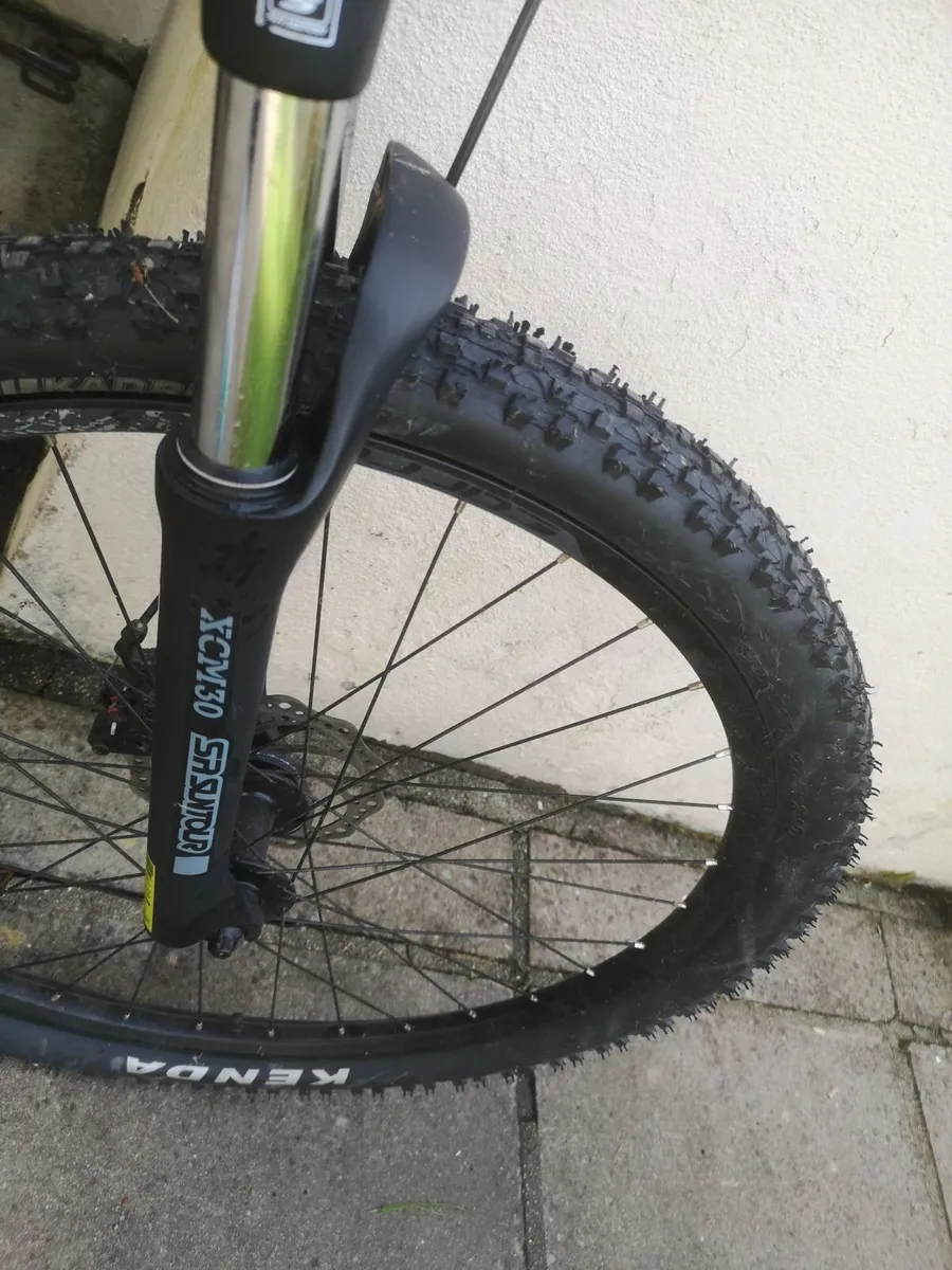 Mans bicycle - Image 1