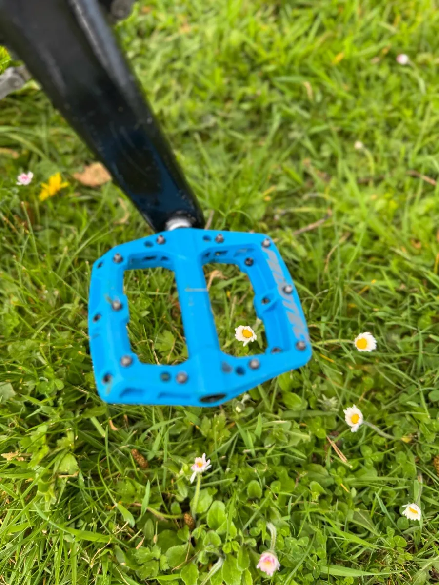 Vitus Sommet - Image 3