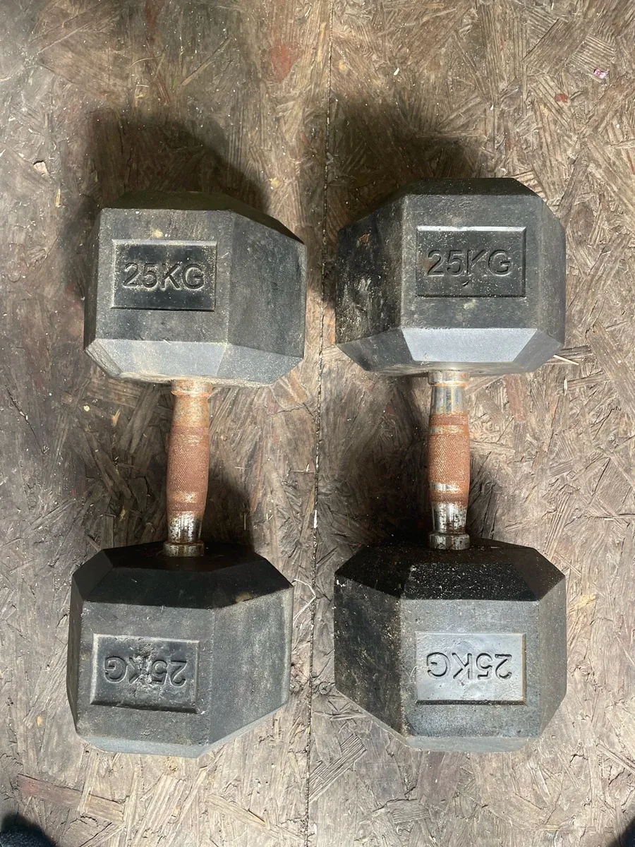 25kg Dumbbells x2