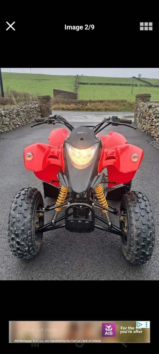 Quadzilla stinger R - Image 3