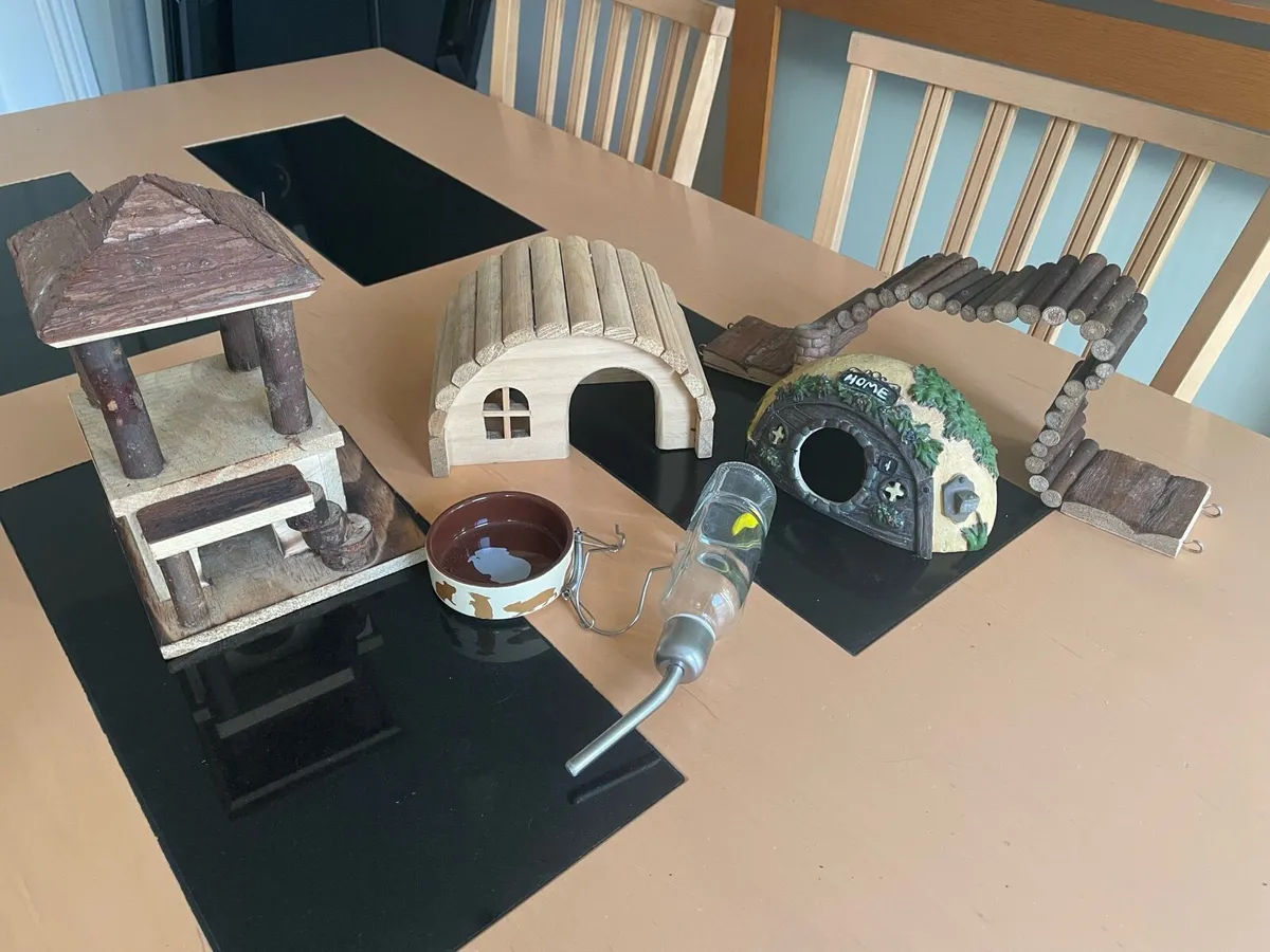 Dwarf Hamster Accessories - Image 1