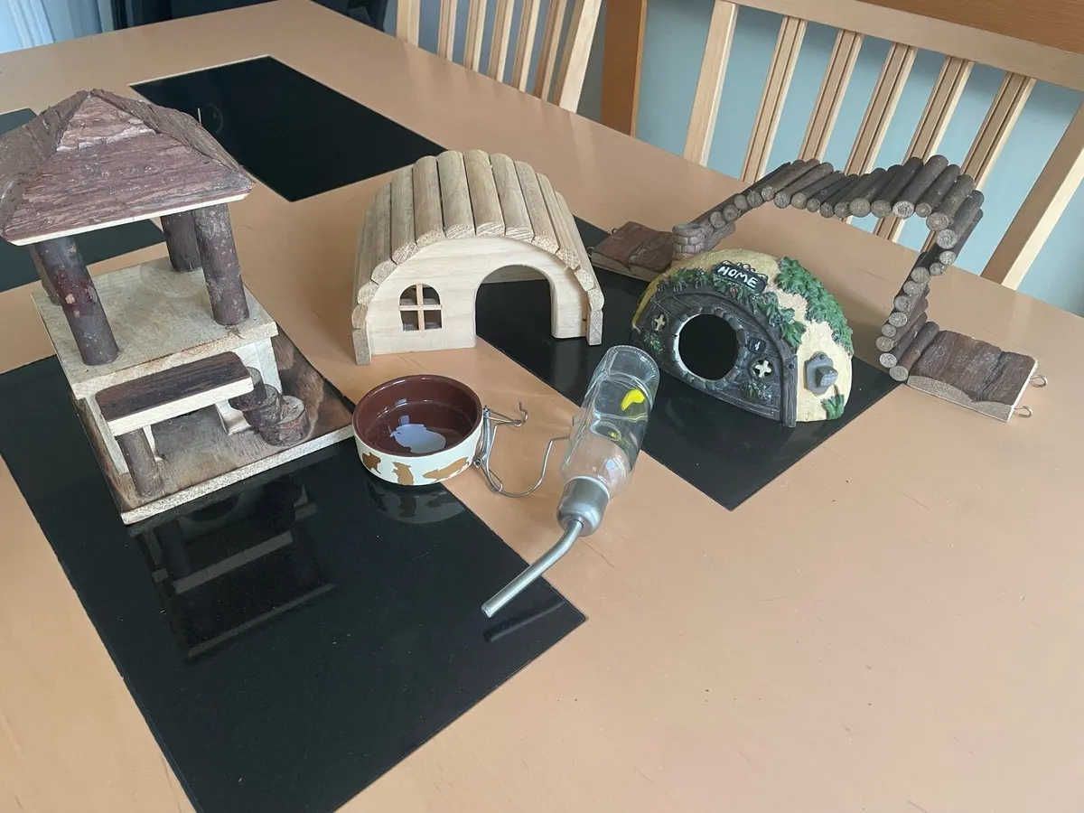 Dwarf Hamster Accessories - Image 2
