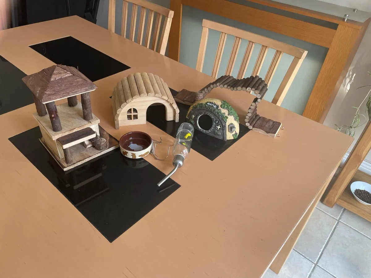 Dwarf Hamster Accessories - Image 3