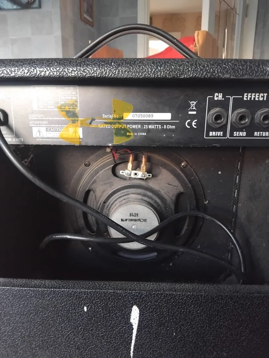 Burswoood amplifier - Image 2