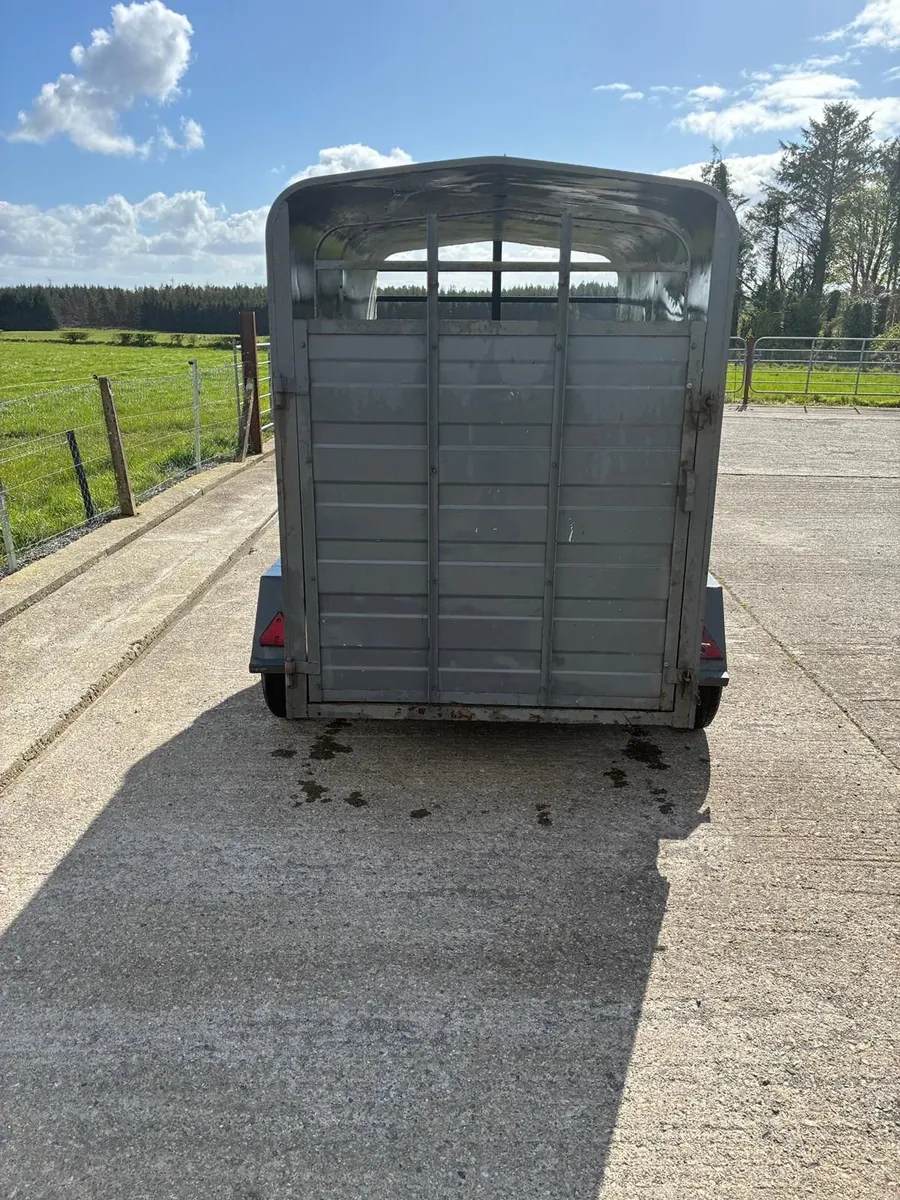 Cattle trailer for sale - Image 3