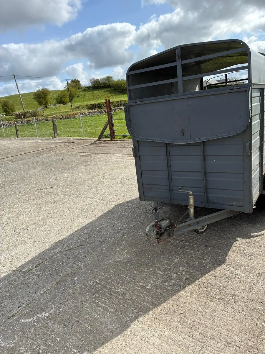 Cattle trailer for sale - Image 4