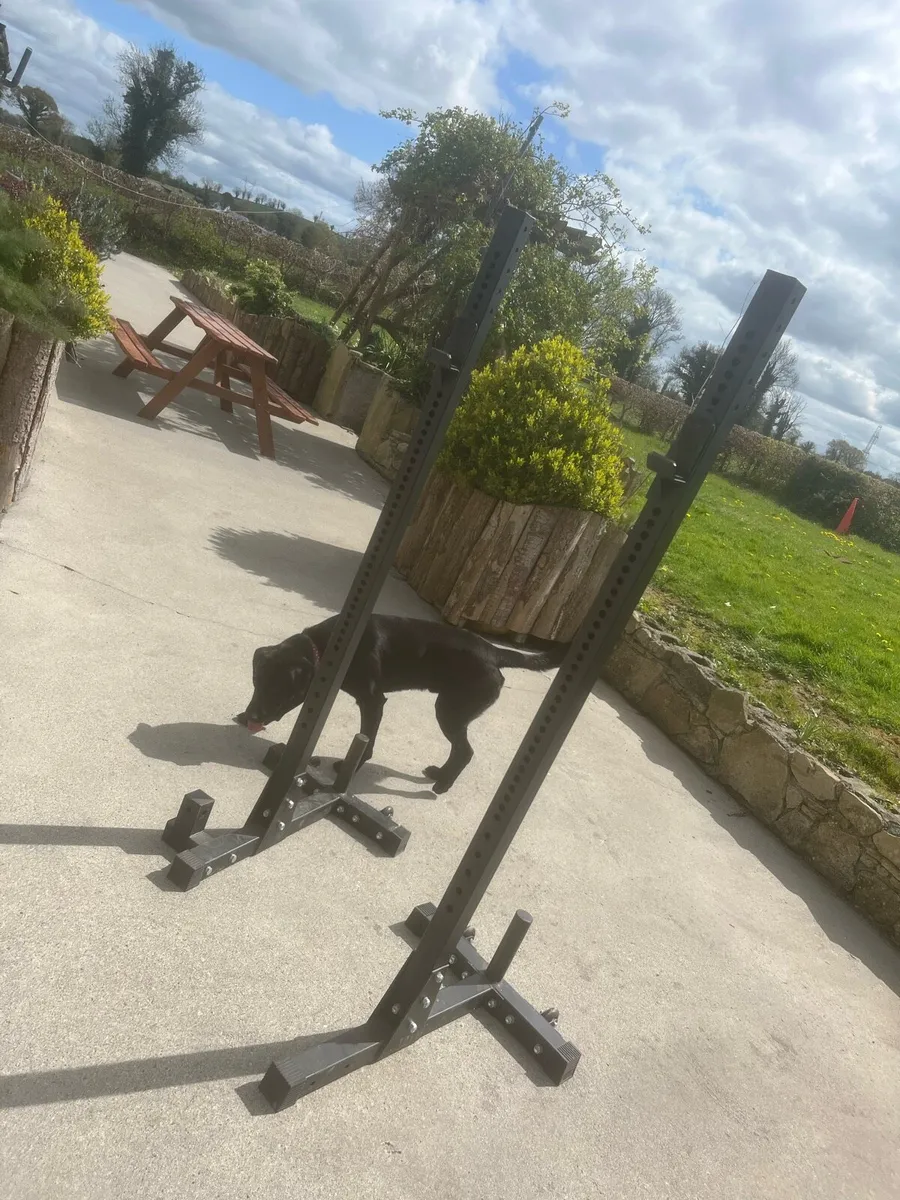 Squat rack - Image 1