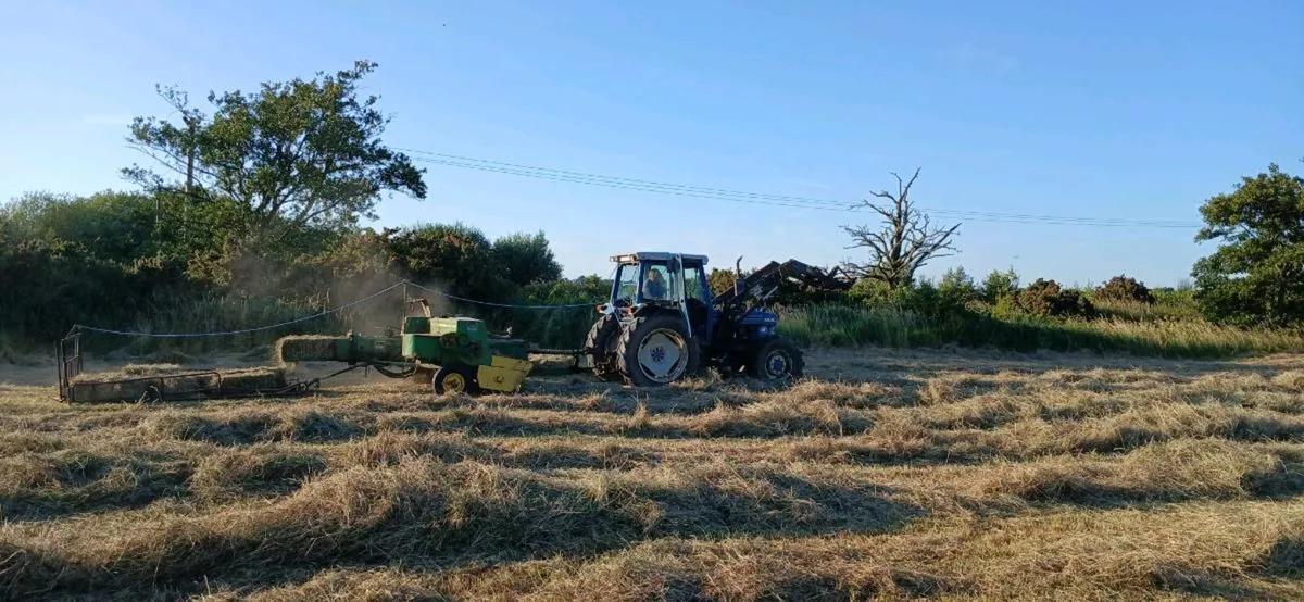 Hay and straw - Image 1