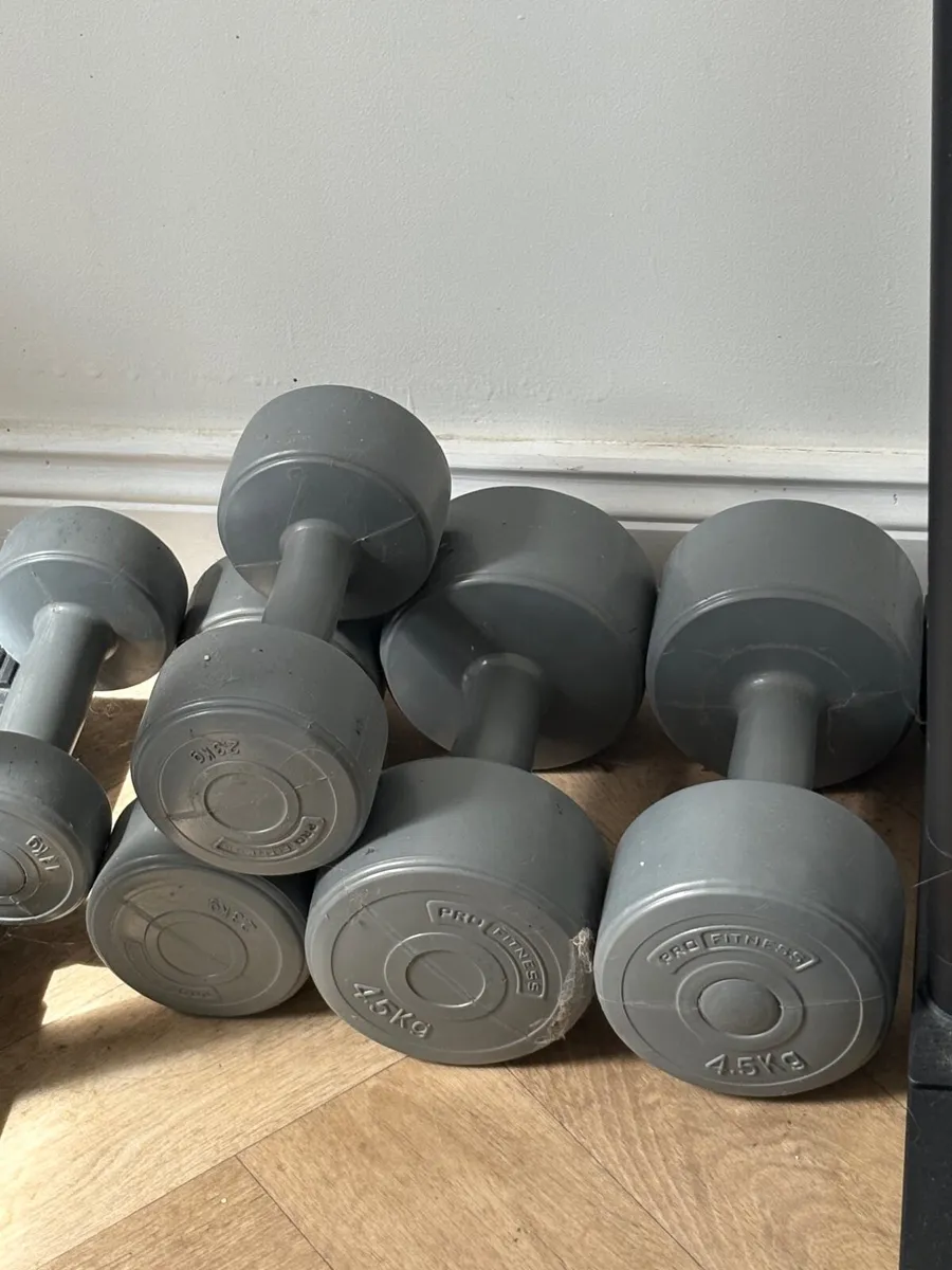 Parallel dip bars and weights - Image 2