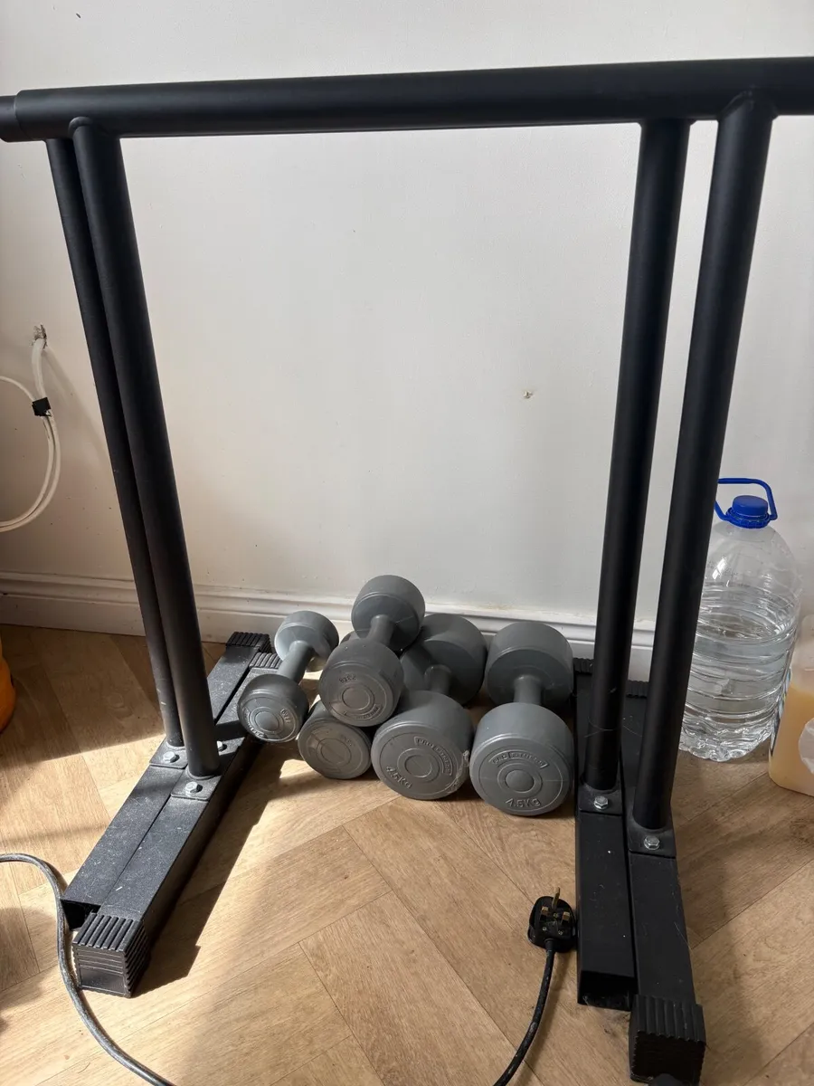 Parallel dip bars and weights - Image 3