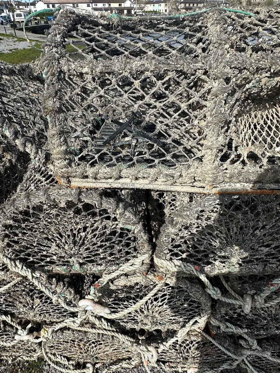 Lobster pots - Image 2