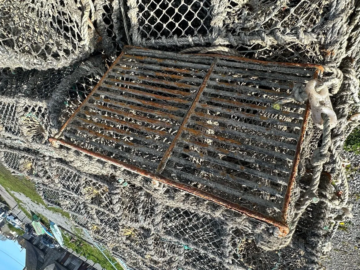 Lobster pots - Image 4