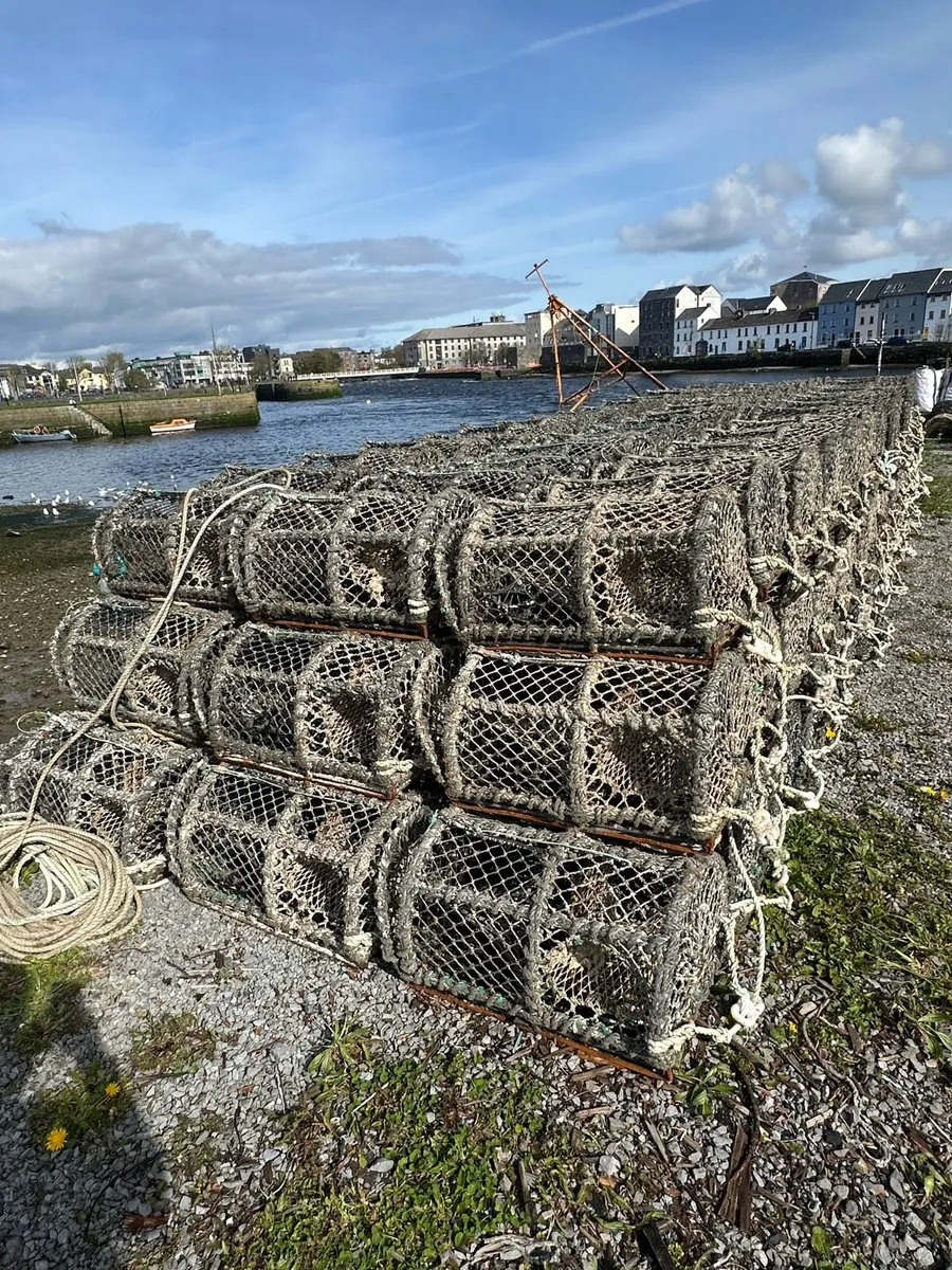 Lobster pots - Image 1