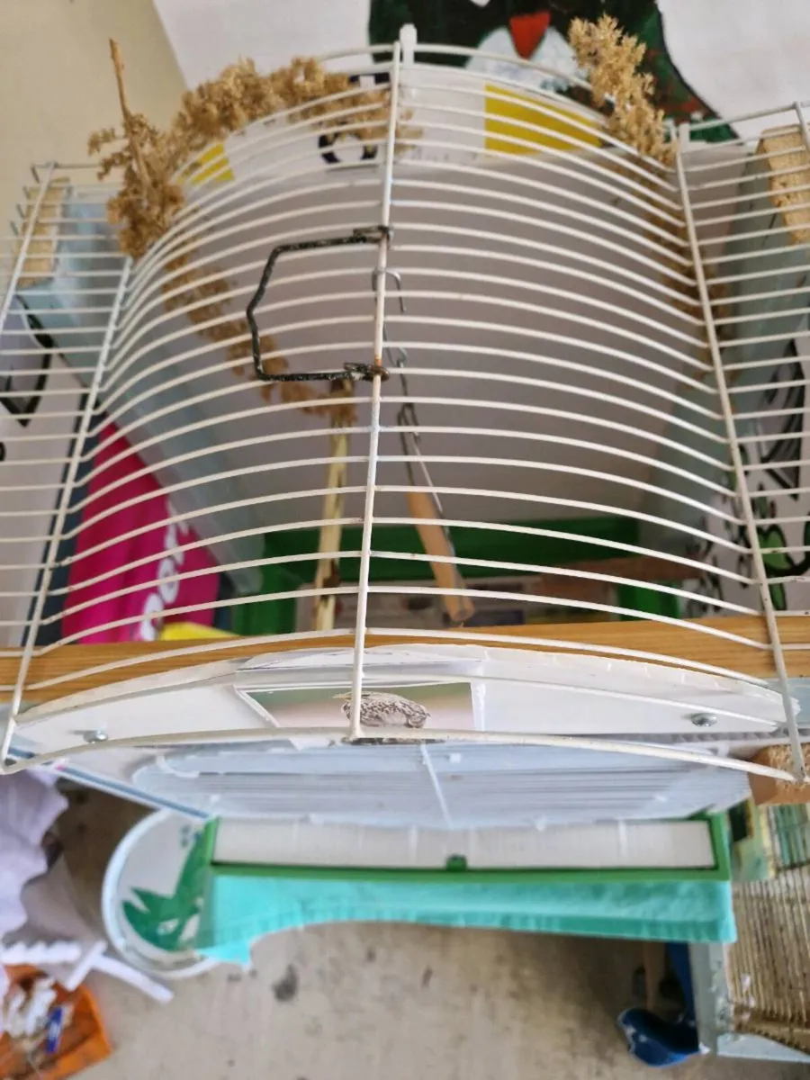 Budgie cage and food. - Image 2
