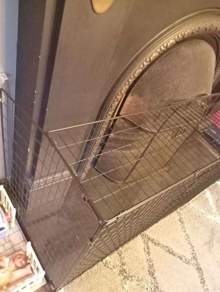 Fire guard - Image 1