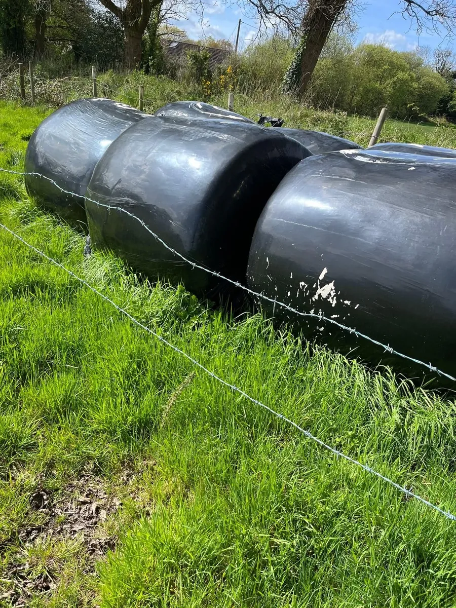 Silage  Bales Ardnacrusha Co. Clare - Image 2