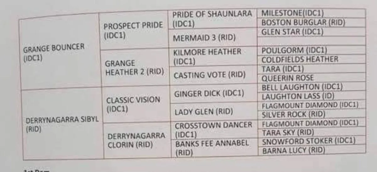 RID STALLION @ stud - Image 4