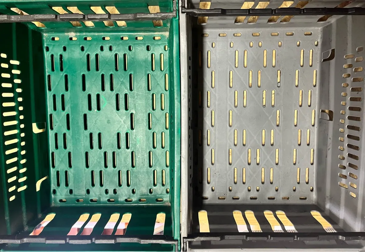 Hard plastic medium size boxes - Image 4