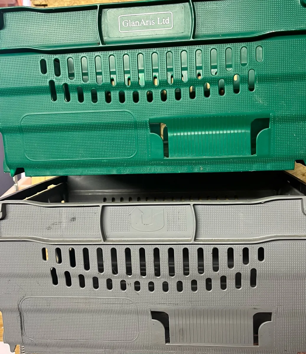 Hard plastic medium size boxes - Image 1