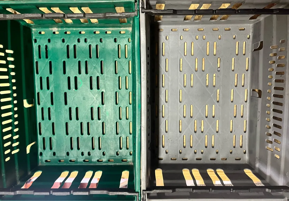 Hard plastic medium size boxes - Image 2