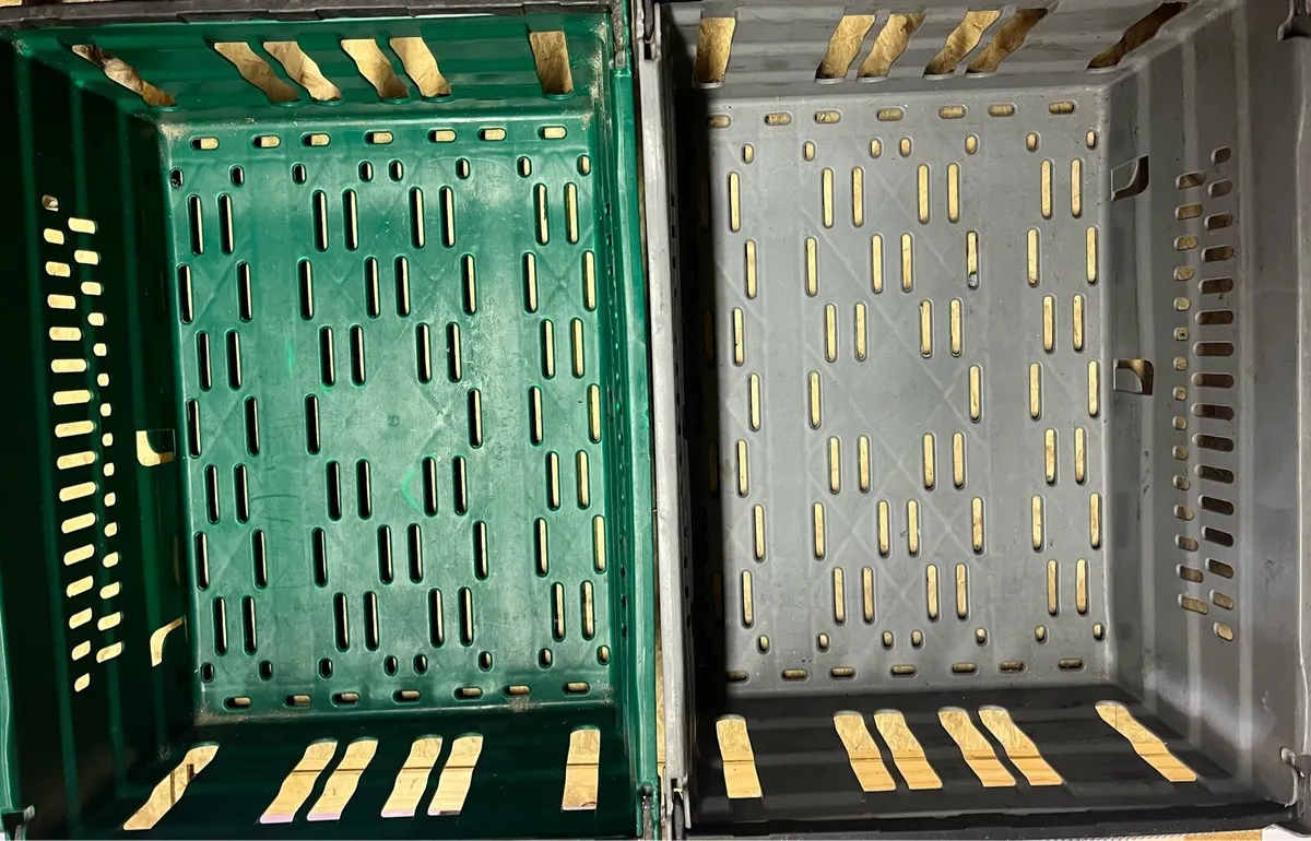 Hard plastic medium size boxes - Image 3