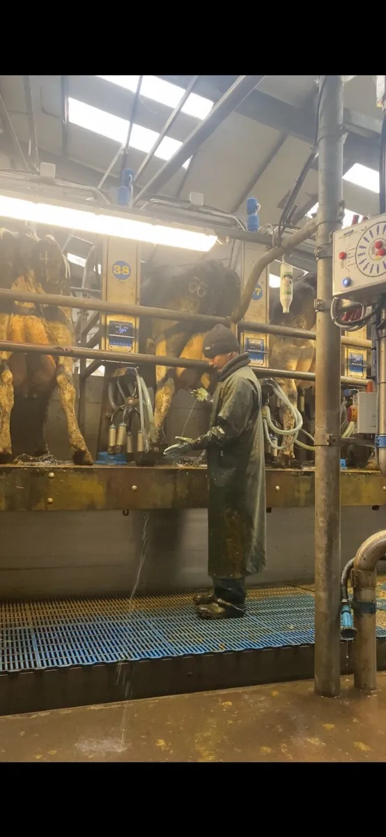 Experience farm worker available - Image 1