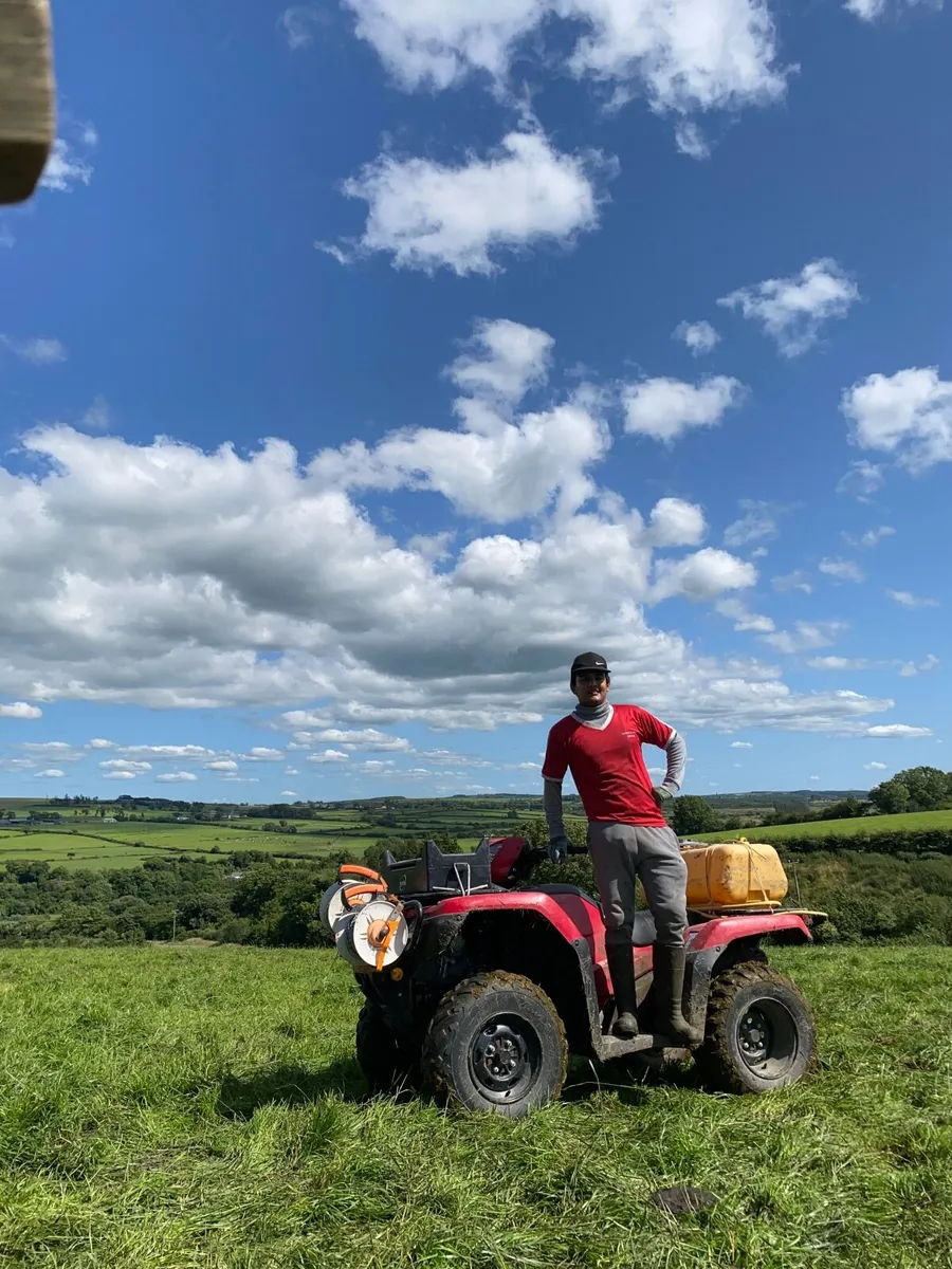 Experience farm worker available - Image 4