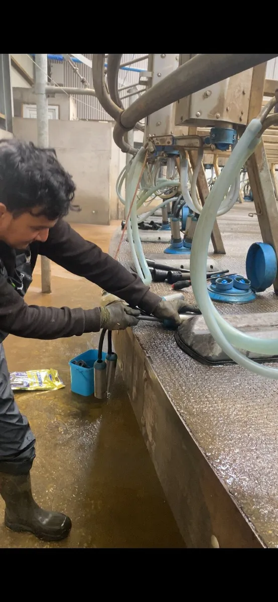 Experience farm worker available - Image 2