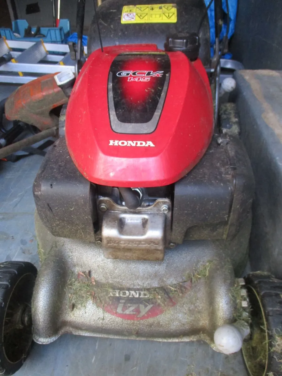 Garden Maintenance - Image 2