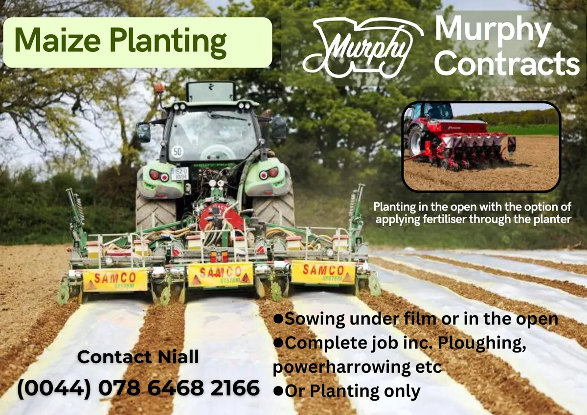 Maize Drilling - Image 1