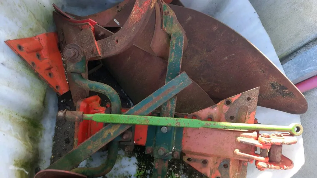 Vogel & noot - Image 2