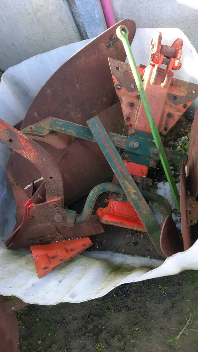 Vogel & noot - Image 3