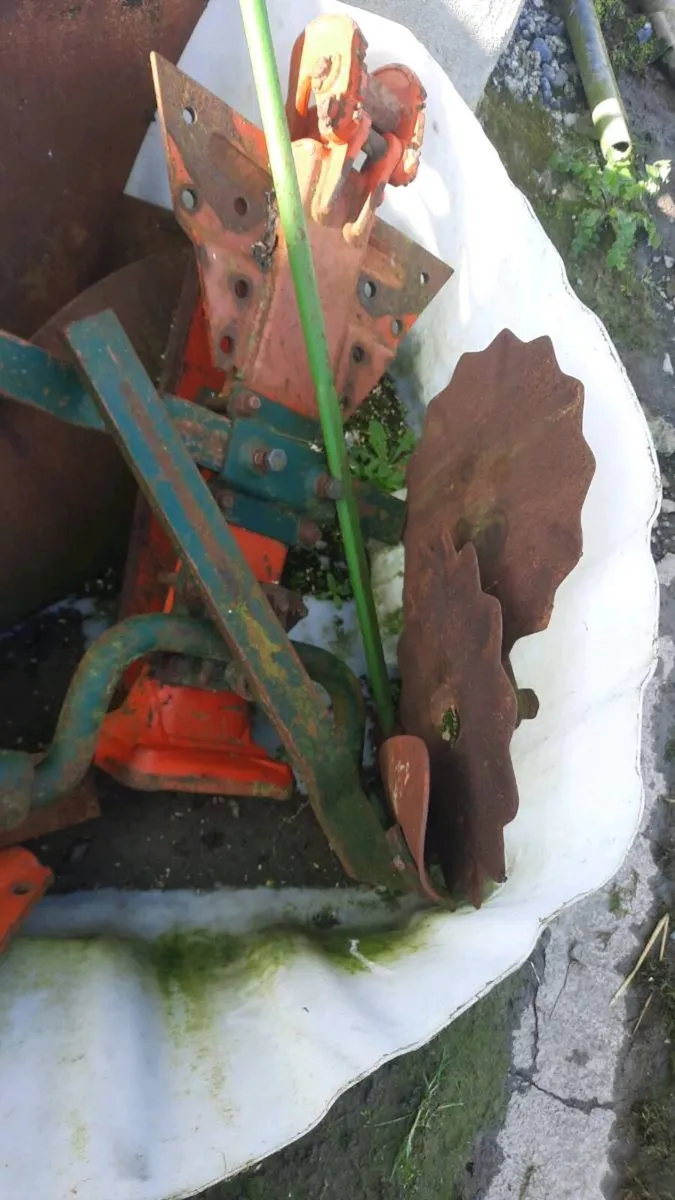 Vogel & noot - Image 1