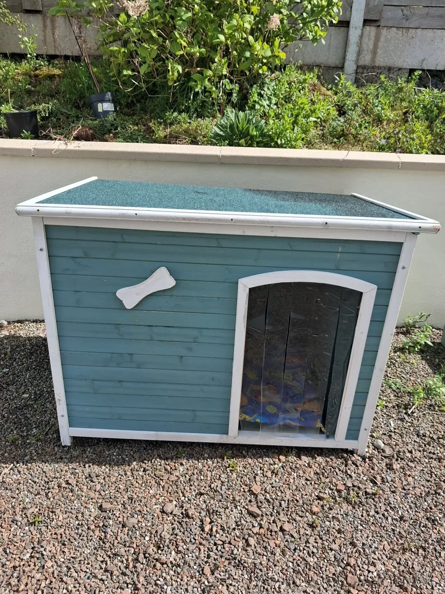 Large Dog Box - Image 1