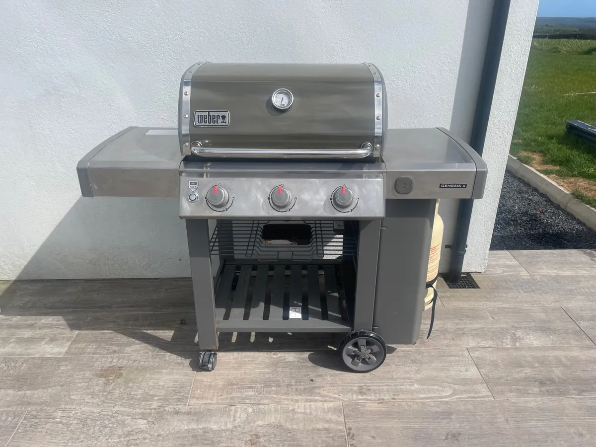 Weber bbq - Image 1