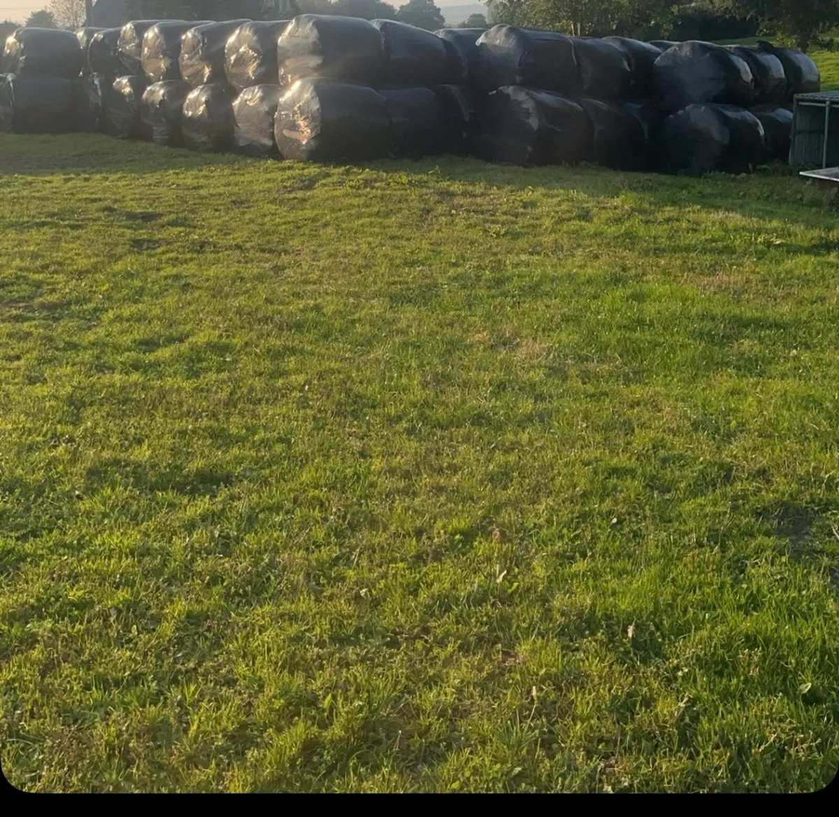 *TOP QUALITY SILAGE *