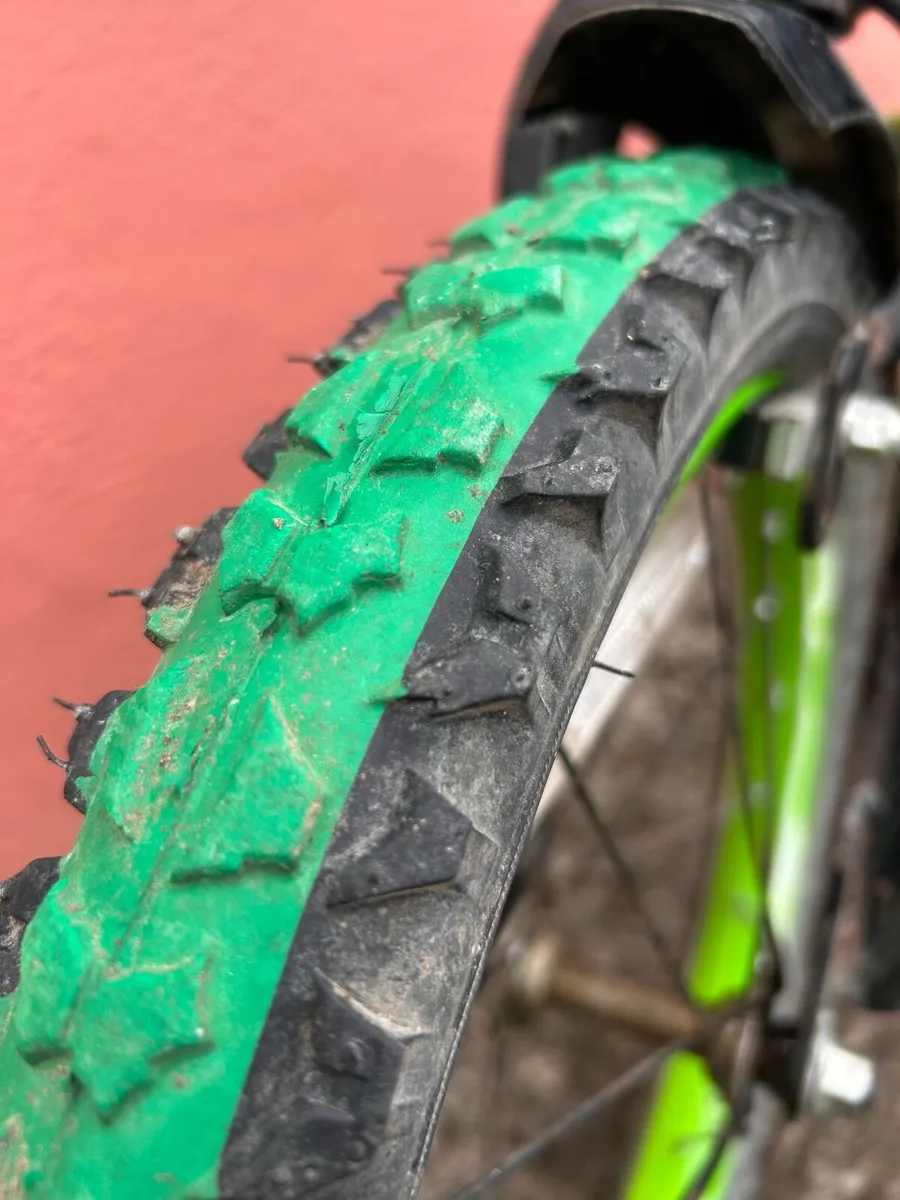 Raleigh bike - Image 2