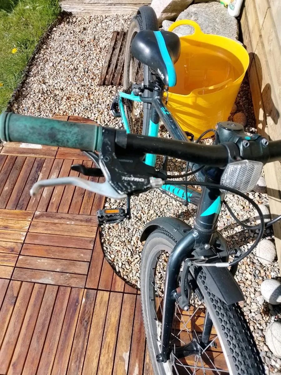 Vitus 24 Top-Spec Kids' Bike - Image 4