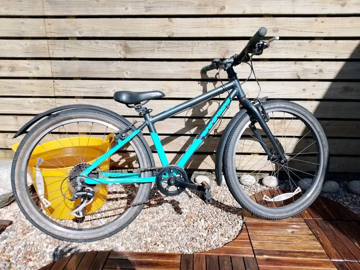 Vitus 24 Top-Spec Kids' Bike - Image 1