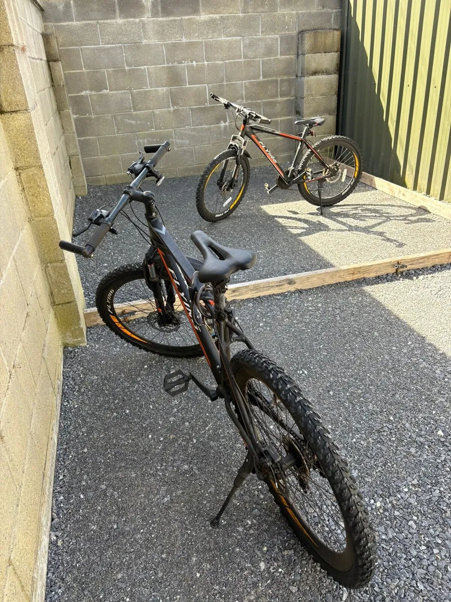 Bikes - Image 4